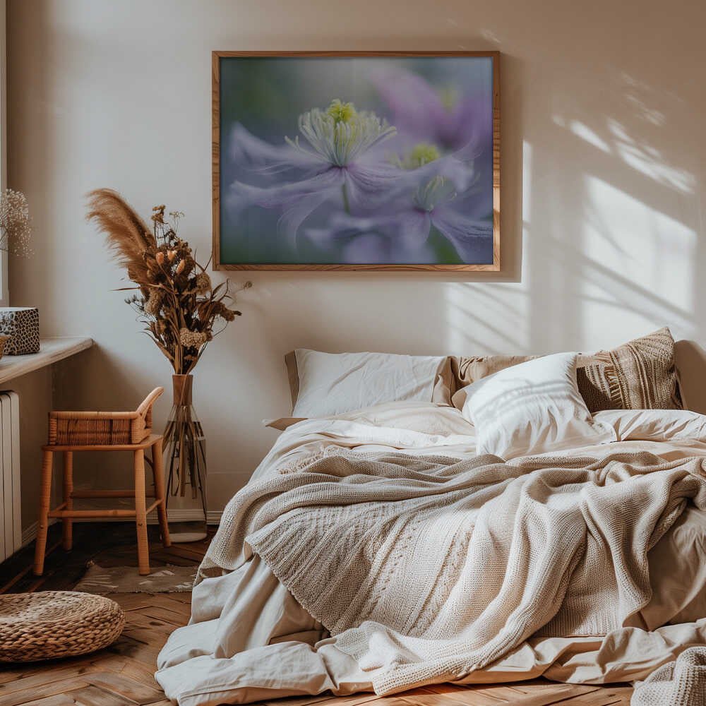 Dreamy Lavender Bloom - Floral Photographic Stretched Canvas Poster or Fine Art Print