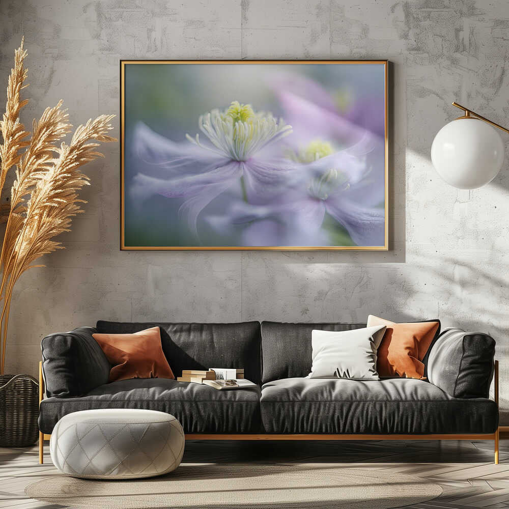 Dreamy Lavender Bloom - Floral Photographic Stretched Canvas Poster or Fine Art Print