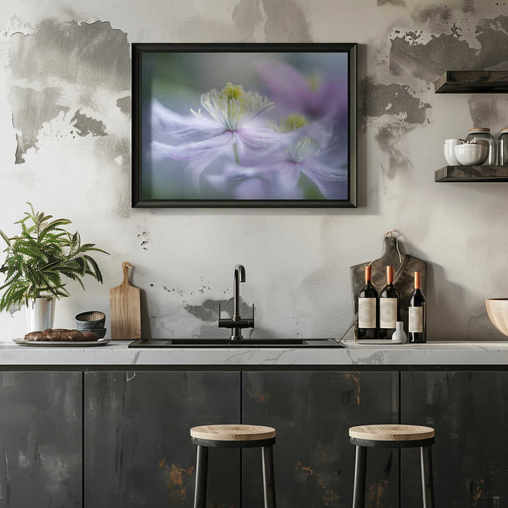 Dreamy Lavender Bloom - Floral Photographic Stretched Canvas Poster or Fine Art Print