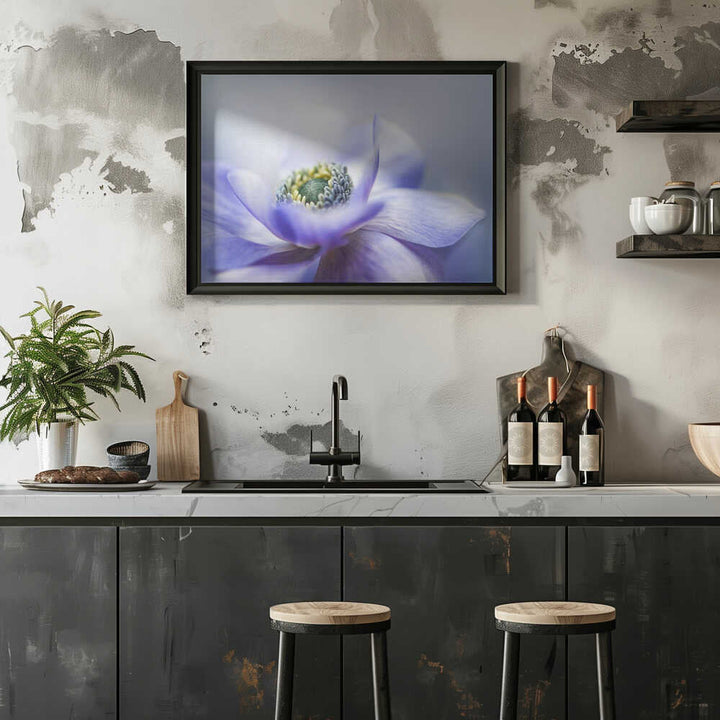 Dreamy Lavender Bloom - Floral Photographic Stretched Canvas Poster or Fine Art Print