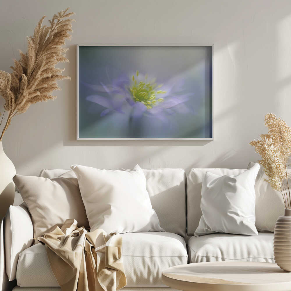 Dreamy Lavender Bloom - Floral Photographic Stretched Canvas Poster or Fine Art Print