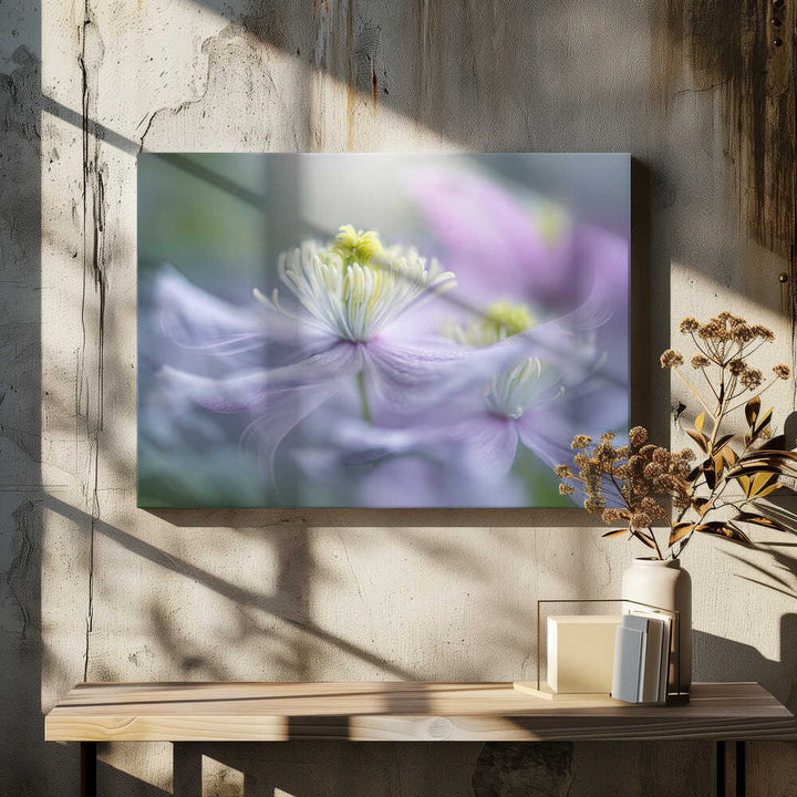 Dreamy Lavender Bloom - Floral Photographic Stretched Canvas Poster or Fine Art Print