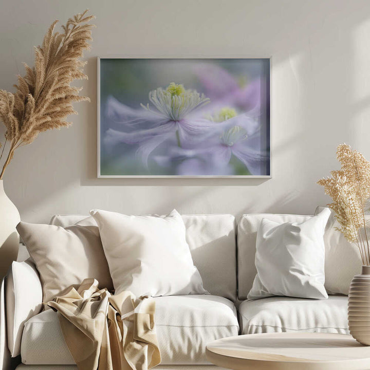 Dreamy Lavender Bloom - Floral Photographic Stretched Canvas Poster or Fine Art Print