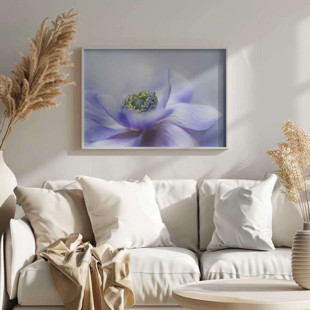 Dreamy Lavender Bloom - Floral Photographic Stretched Canvas Poster or Fine Art Print