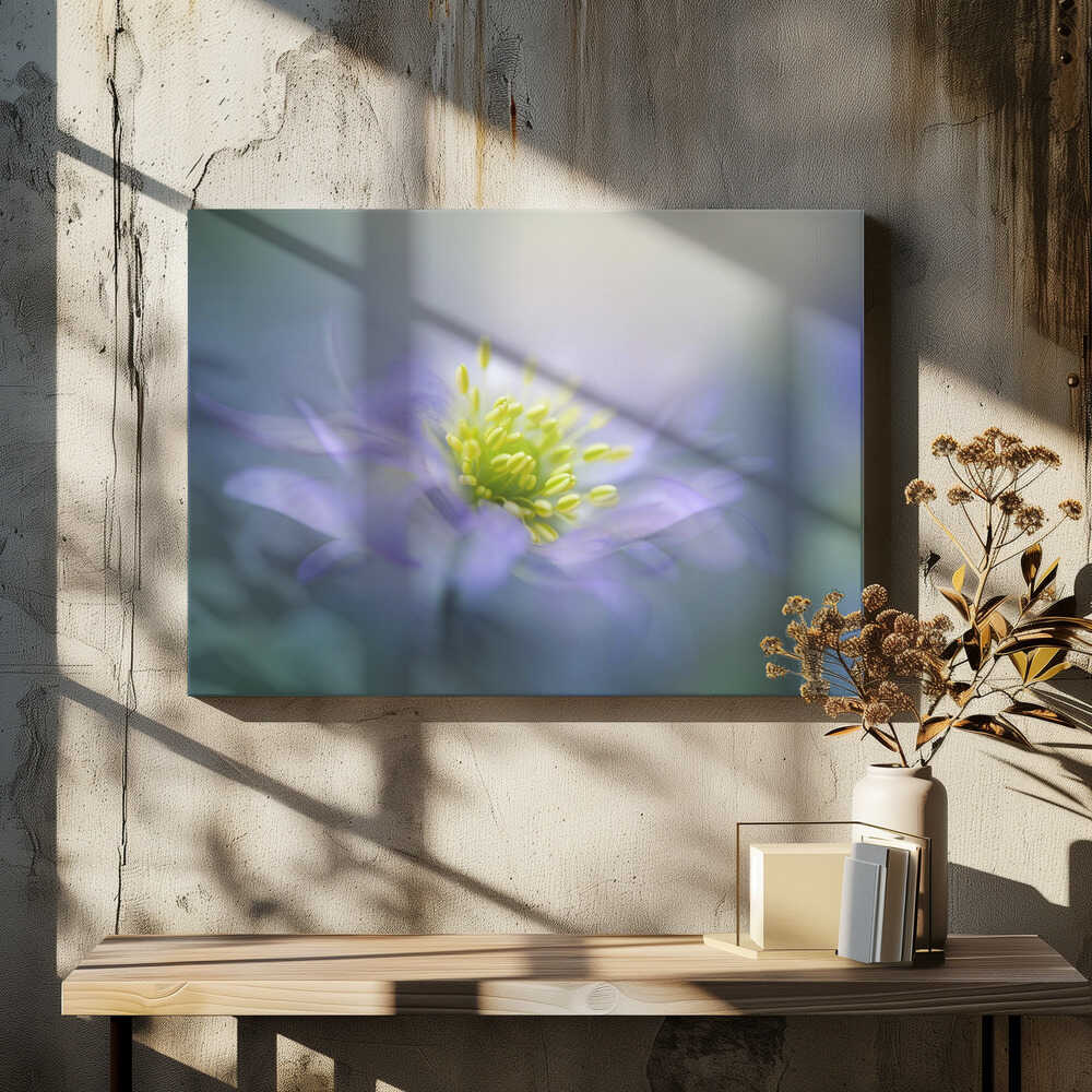 Dreamy Lavender Bloom - Floral Photographic Stretched Canvas Poster or Fine Art Print