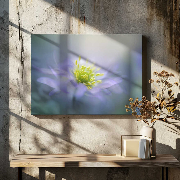 Dreamy Lavender Bloom - Floral Photographic Stretched Canvas Poster or Fine Art Print