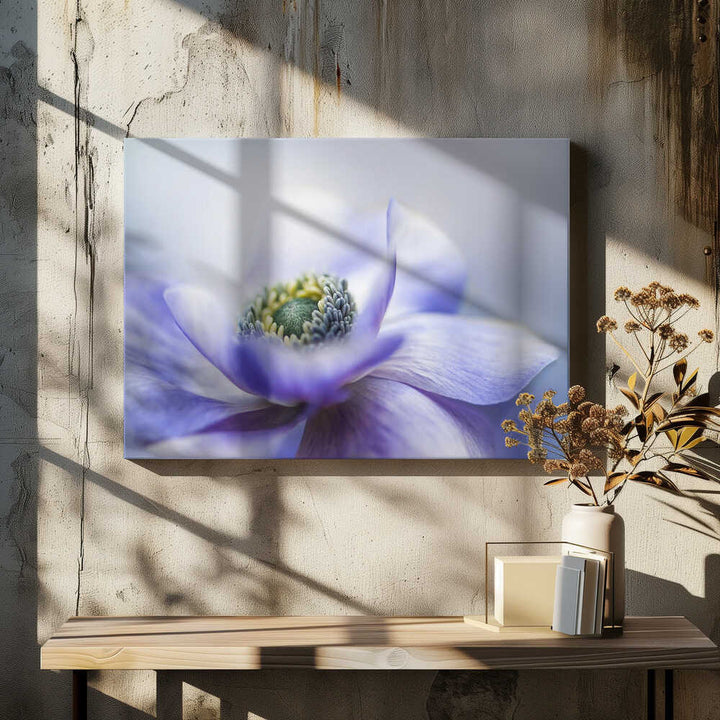 Dreamy Lavender Bloom - Floral Photographic Stretched Canvas Poster or Fine Art Print