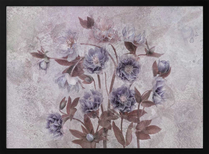 Dreamy Lavender Blossoms - Floral Photographic Stretched Canvas Poster or Fine Art Print