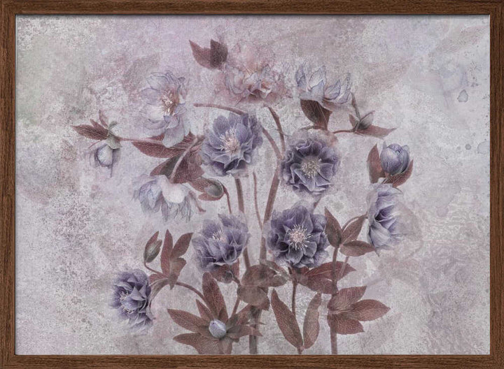 Dreamy Lavender Blossoms - Floral Photographic Stretched Canvas Poster or Fine Art Print