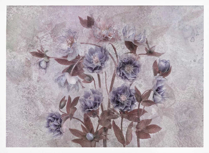 Dreamy Lavender Blossoms - Floral Photographic Stretched Canvas Poster or Fine Art Print