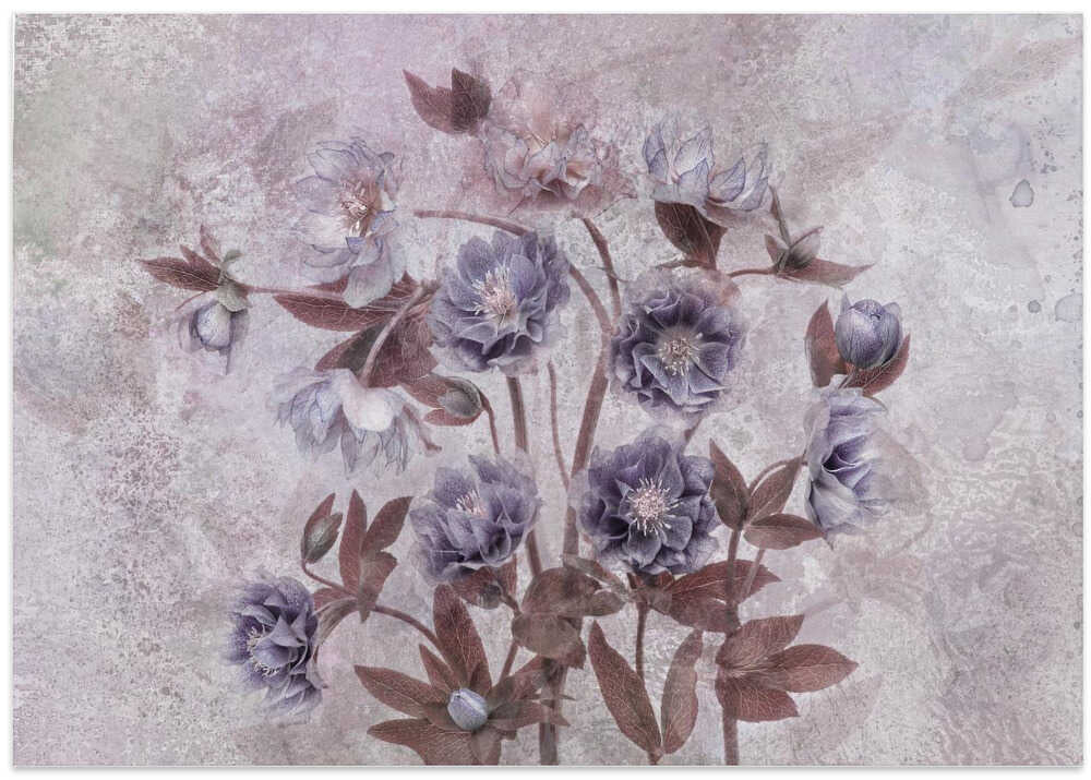 Dreamy Lavender Blossoms - Floral Photographic Stretched Canvas Poster or Fine Art Print