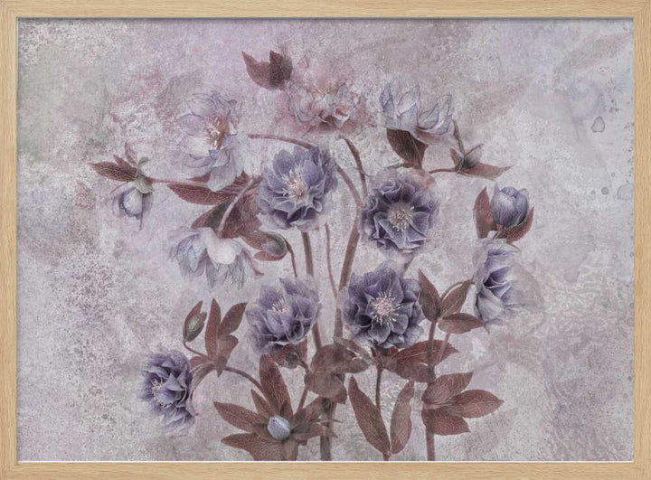 Dreamy Lavender Blossoms - Floral Photographic Stretched Canvas Poster or Fine Art Print
