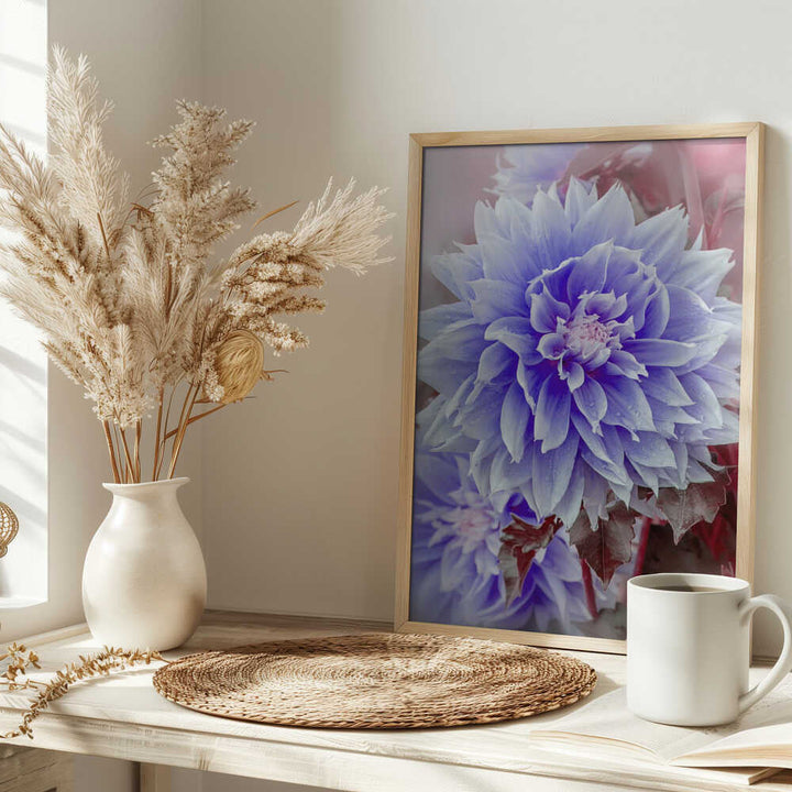 Dreamy Lilac Dahlia - Floral Photographic Stretched Canvas Poster or Fine Art Print
