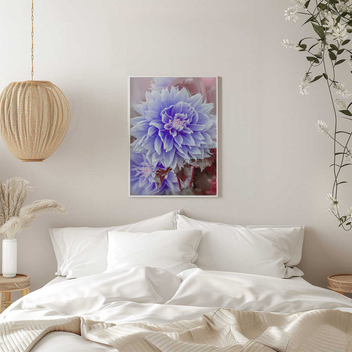 Dreamy Lilac Dahlia - Floral Photographic Stretched Canvas Poster or Fine Art Print