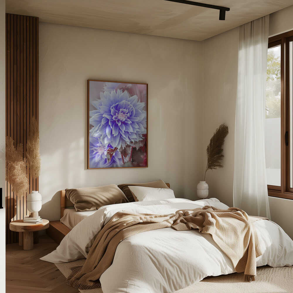 Dreamy Lilac Dahlia - Floral Photographic Stretched Canvas Poster or Fine Art Print