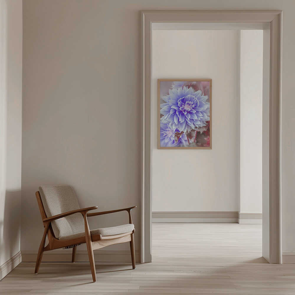 Dreamy Lilac Dahlia - Floral Photographic Stretched Canvas Poster or Fine Art Print