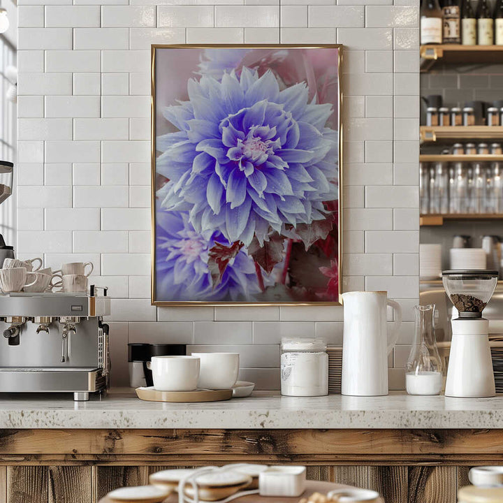 Dreamy Lilac Dahlia - Floral Photographic Stretched Canvas Poster or Fine Art Print