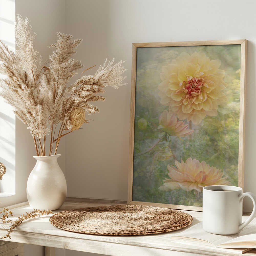 Dreamy Pastel Dahlias - Floral Photographic Stretched Canvas Poster or Fine Art Print