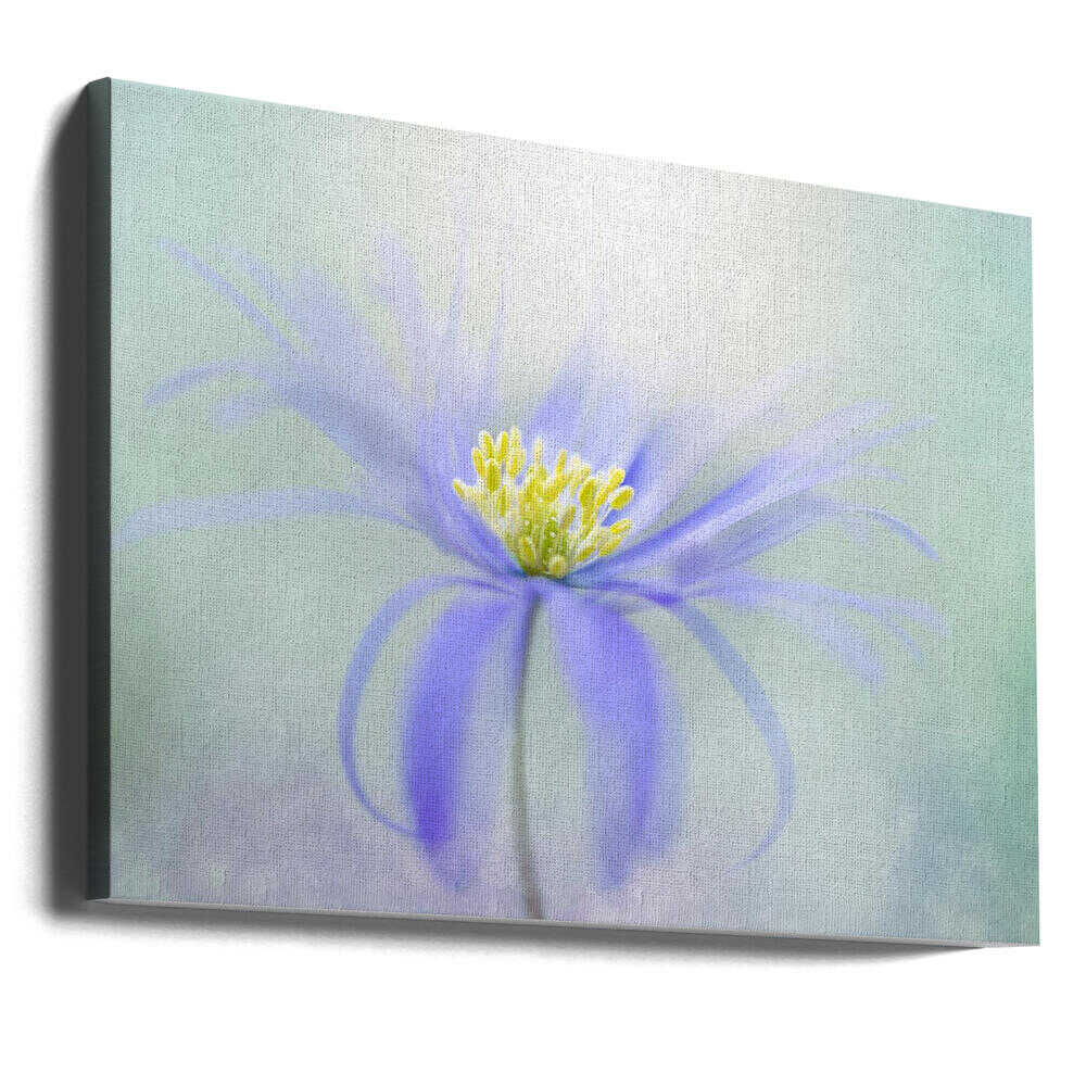 Dreamy Pastel Flower - Floral Photographic Stretched Canvas Poster or Fine Art Print