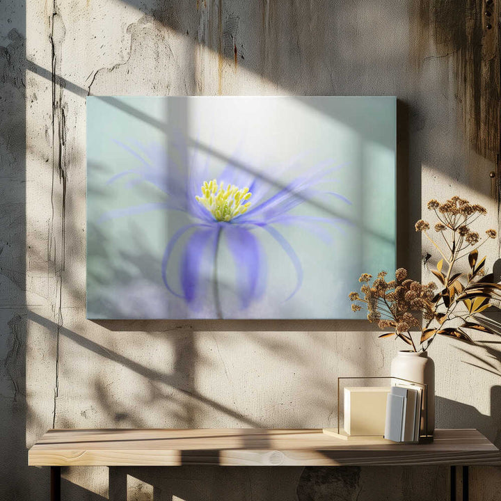 Dreamy Pastel Flower - Floral Photographic Stretched Canvas Poster or Fine Art Print