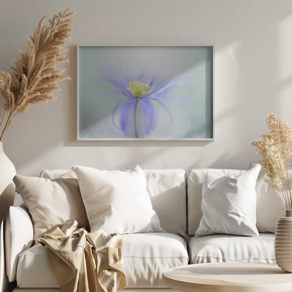 Dreamy Pastel Flower - Floral Photographic Stretched Canvas Poster or Fine Art Print