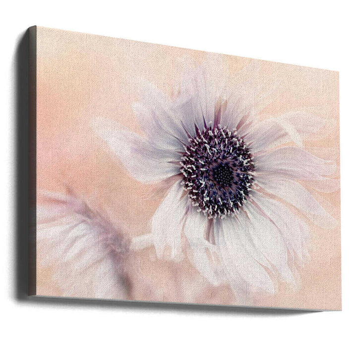 Dreamy Pastel Flower - Floral Photographic Stretched Canvas Poster or Fine Art Print