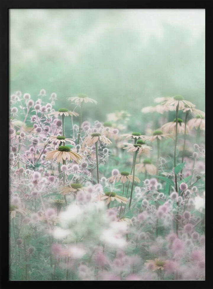 Dreamy Pastel Flowers - Floral Photographic Stretched Canvas Poster or Fine Art Print