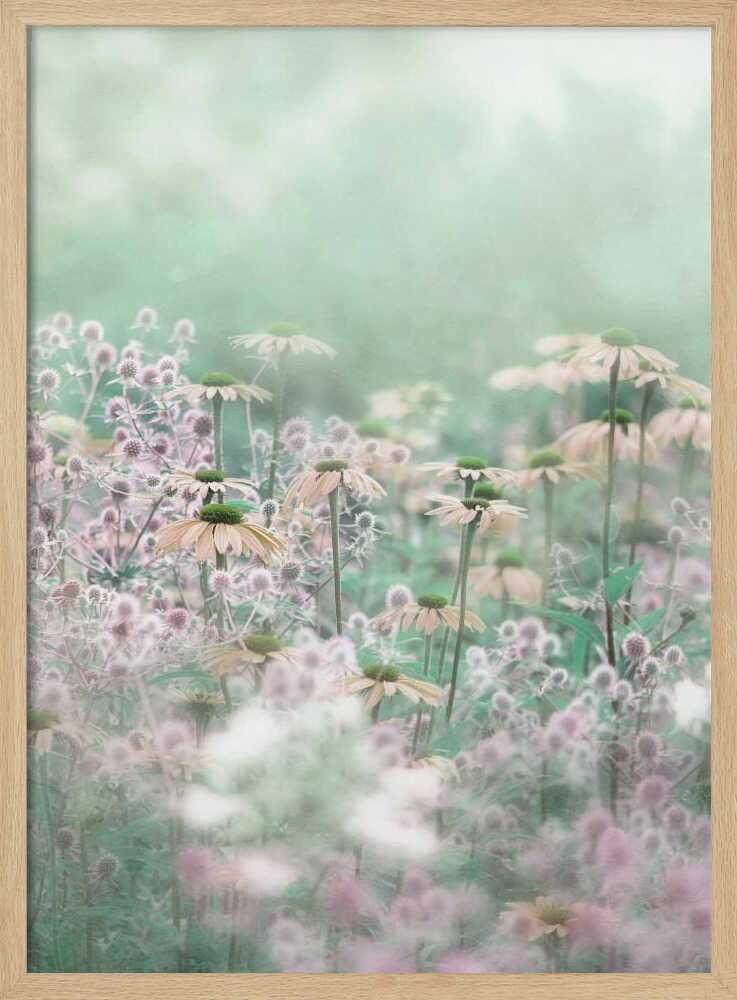 Dreamy Pastel Flowers - Floral Photographic Stretched Canvas Poster or Fine Art Print