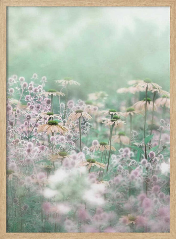 Dreamy Pastel Flowers - Floral Photographic Stretched Canvas Poster or Fine Art Print