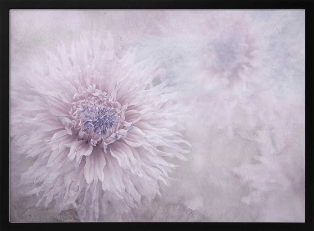 Dreamy Pastel Flowers - Floral Photographic Stretched Canvas Poster or Fine Art Print