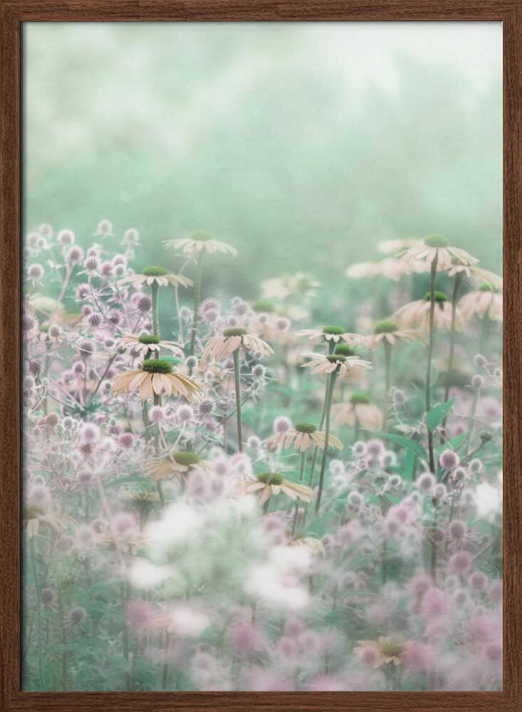 Dreamy Pastel Flowers - Floral Photographic Stretched Canvas Poster or Fine Art Print