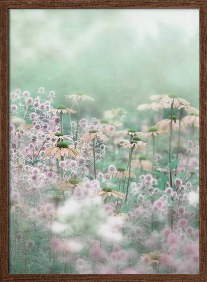 Dreamy Pastel Flowers - Floral Photographic Stretched Canvas Poster or Fine Art Print