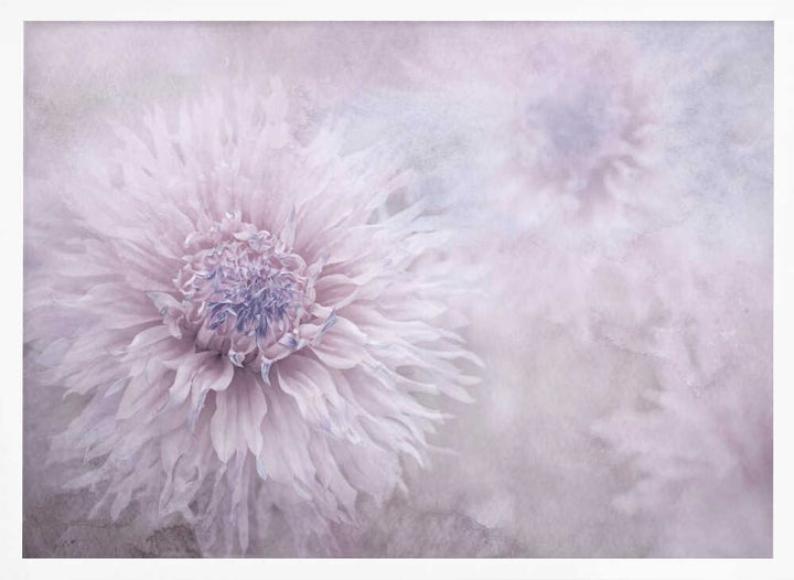 Dreamy Pastel Flowers - Floral Photographic Stretched Canvas Poster or Fine Art Print