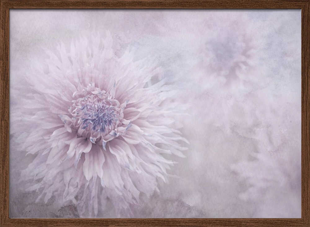 Dreamy Pastel Flowers - Floral Photographic Stretched Canvas Poster or Fine Art Print