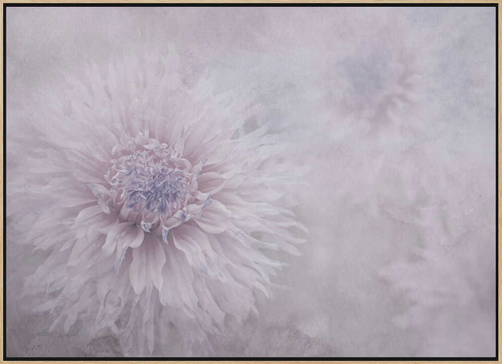 Dreamy Pastel Flowers - Floral Photographic Stretched Canvas Poster or Fine Art Print