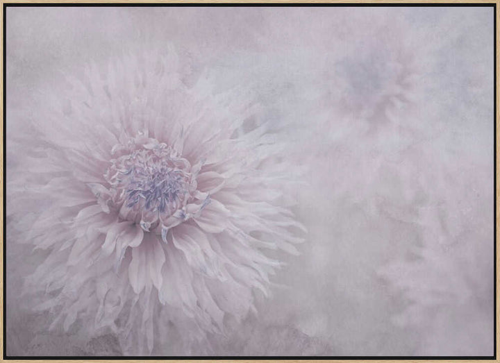 Dreamy Pastel Flowers - Floral Photographic Stretched Canvas Poster or Fine Art Print