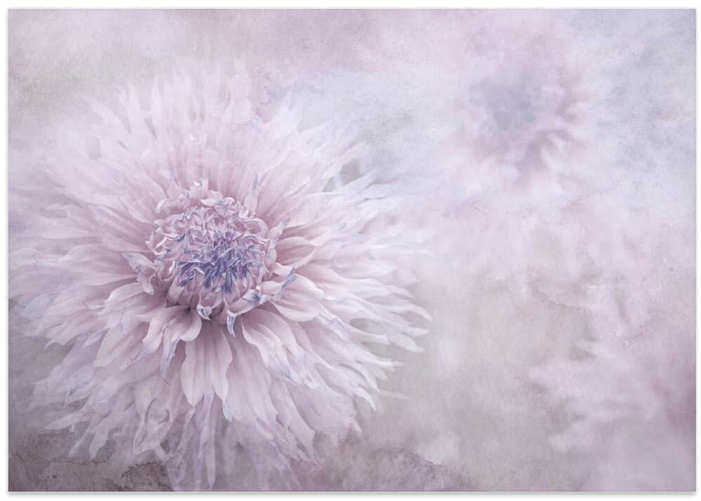 Dreamy Pastel Flowers - Floral Photographic Stretched Canvas Poster or Fine Art Print