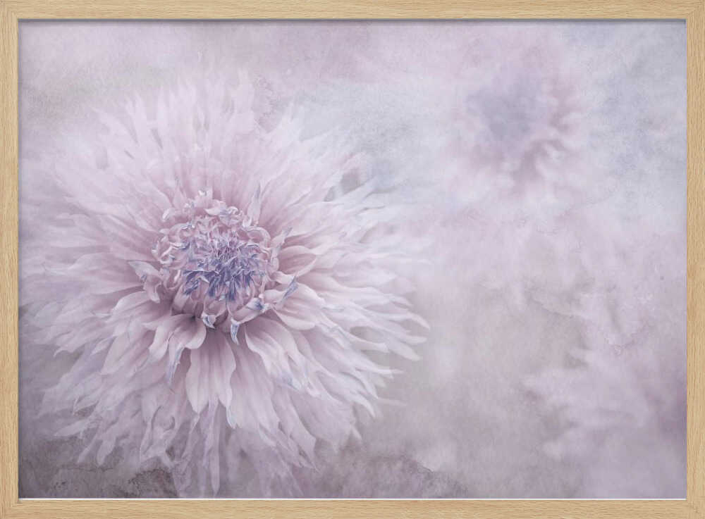 Dreamy Pastel Flowers - Floral Photographic Stretched Canvas Poster or Fine Art Print