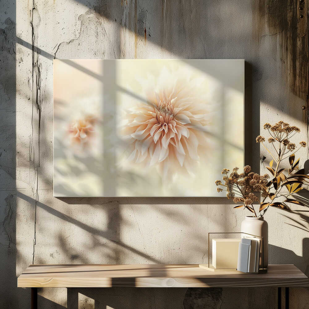 Dreamy Peach Dahlia - Stretched Canvas Poster or Fine Art Print