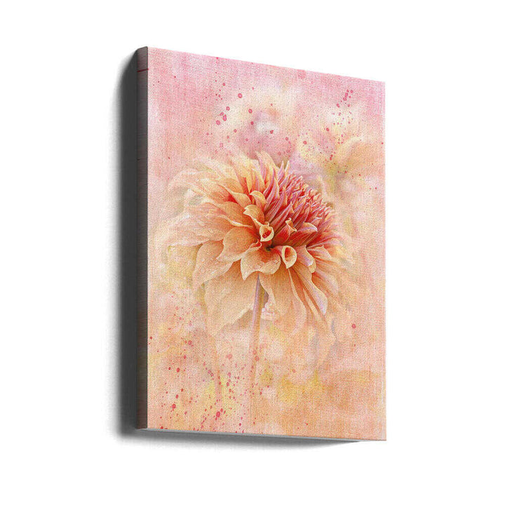 Dreamy Peach Dahlia - Floral Photographic Stretched Canvas Poster or Fine Art Print