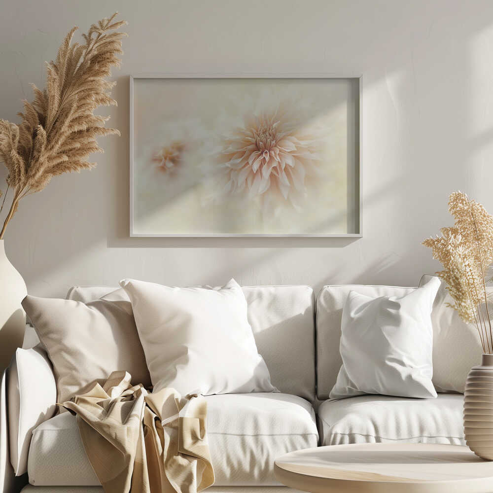 Dreamy Peach Dahlia - Stretched Canvas Poster or Fine Art Print