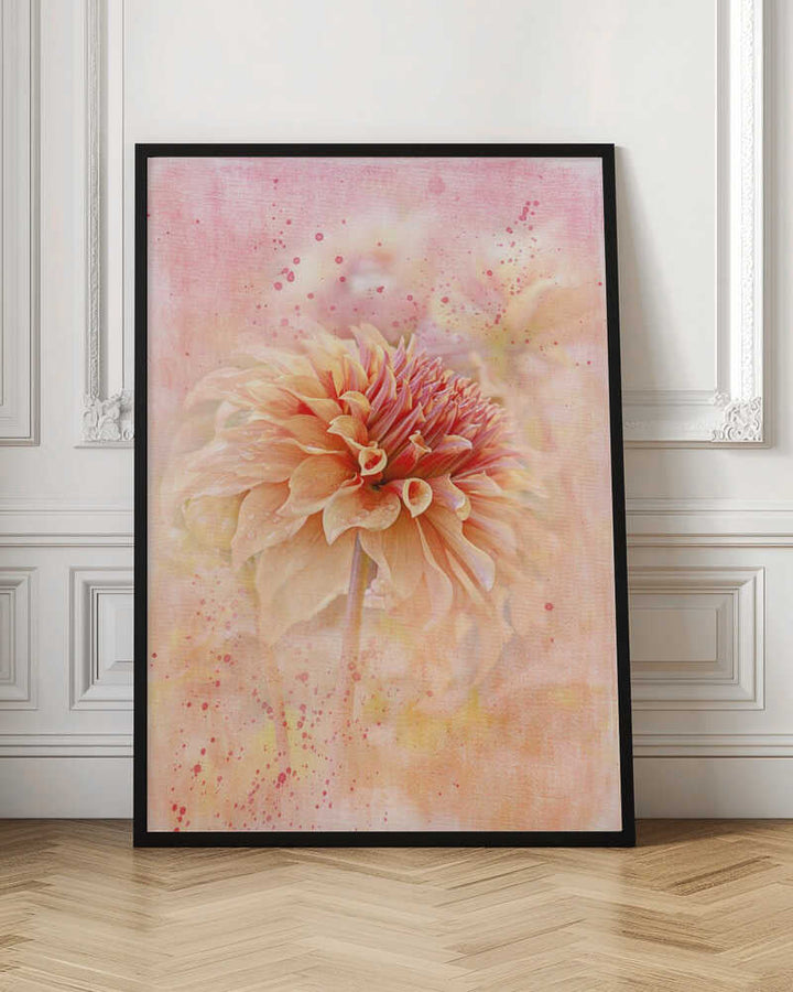 Dreamy Peach Dahlia - Floral Photographic Stretched Canvas Poster or Fine Art Print