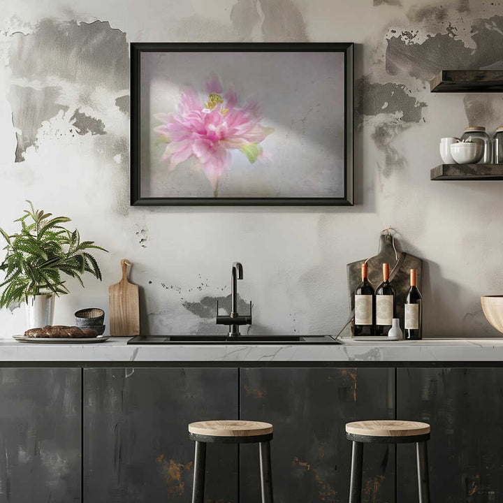 Dreamy Pink Bloom - Stretched Canvas Poster or Fine Art Print