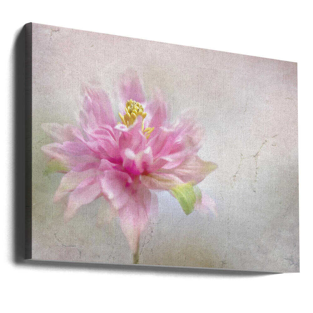 Dreamy Pink Bloom - Stretched Canvas Poster or Fine Art Print