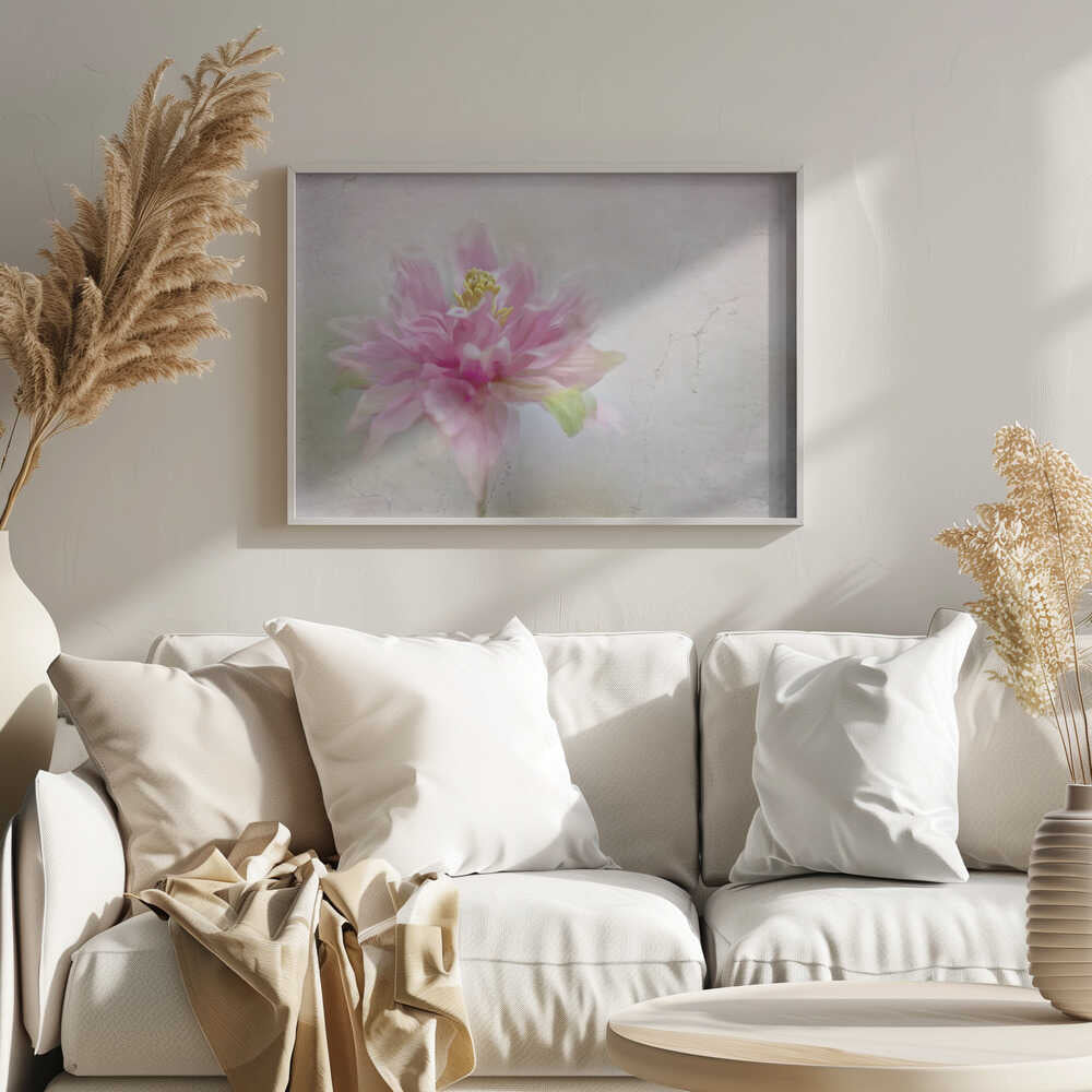 Dreamy Pink Bloom - Stretched Canvas Poster or Fine Art Print