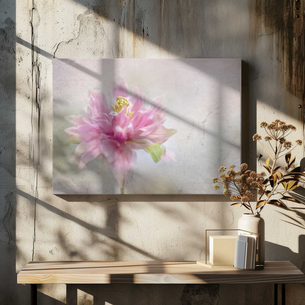 Dreamy Pink Bloom - Stretched Canvas Poster or Fine Art Print