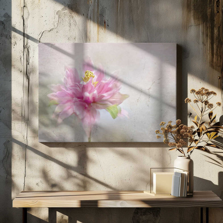 Dreamy Pink Bloom - Stretched Canvas Poster or Fine Art Print