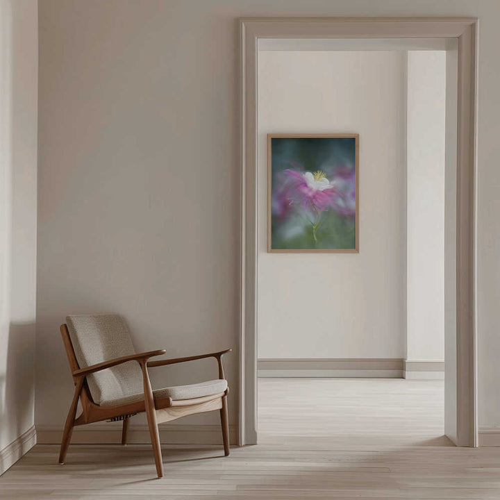 Dreamy Pink Columbine - Floral Photographic Stretched Canvas Poster or Fine Art Print