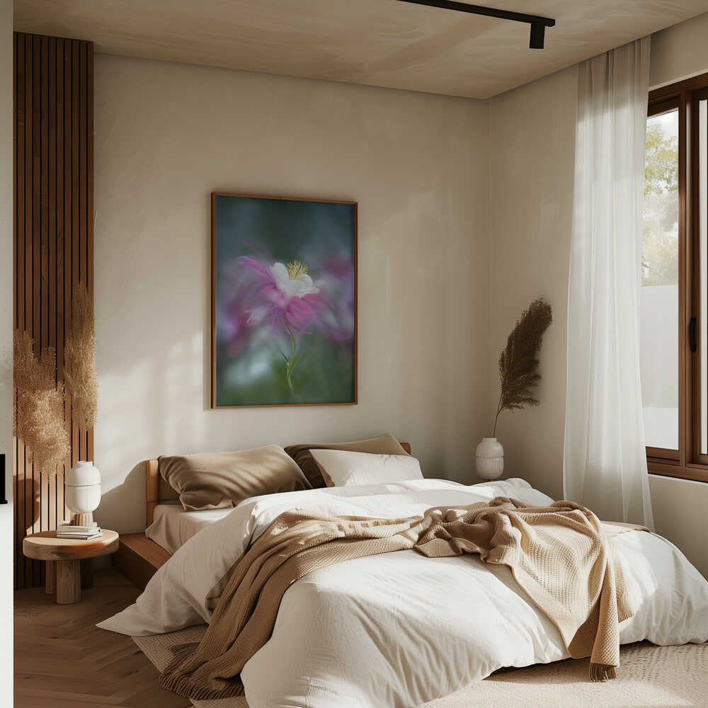 Dreamy Pink Columbine - Floral Photographic Stretched Canvas Poster or Fine Art Print