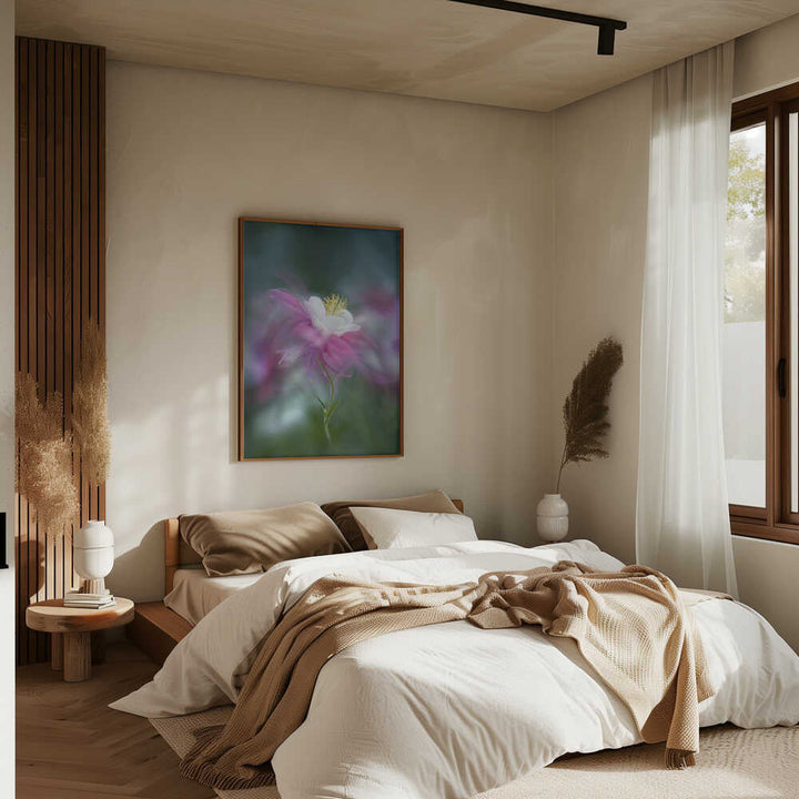 Dreamy Pink Columbine - Floral Photographic Stretched Canvas Poster or Fine Art Print